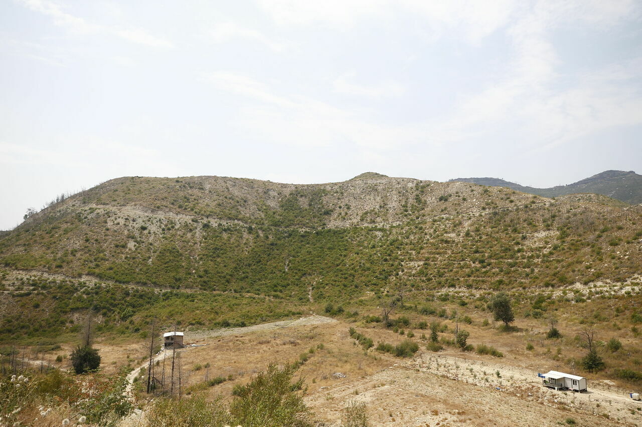 Manavgat yangınının üçüncü yılında yanan ormanlar yeşermeye başladı 5