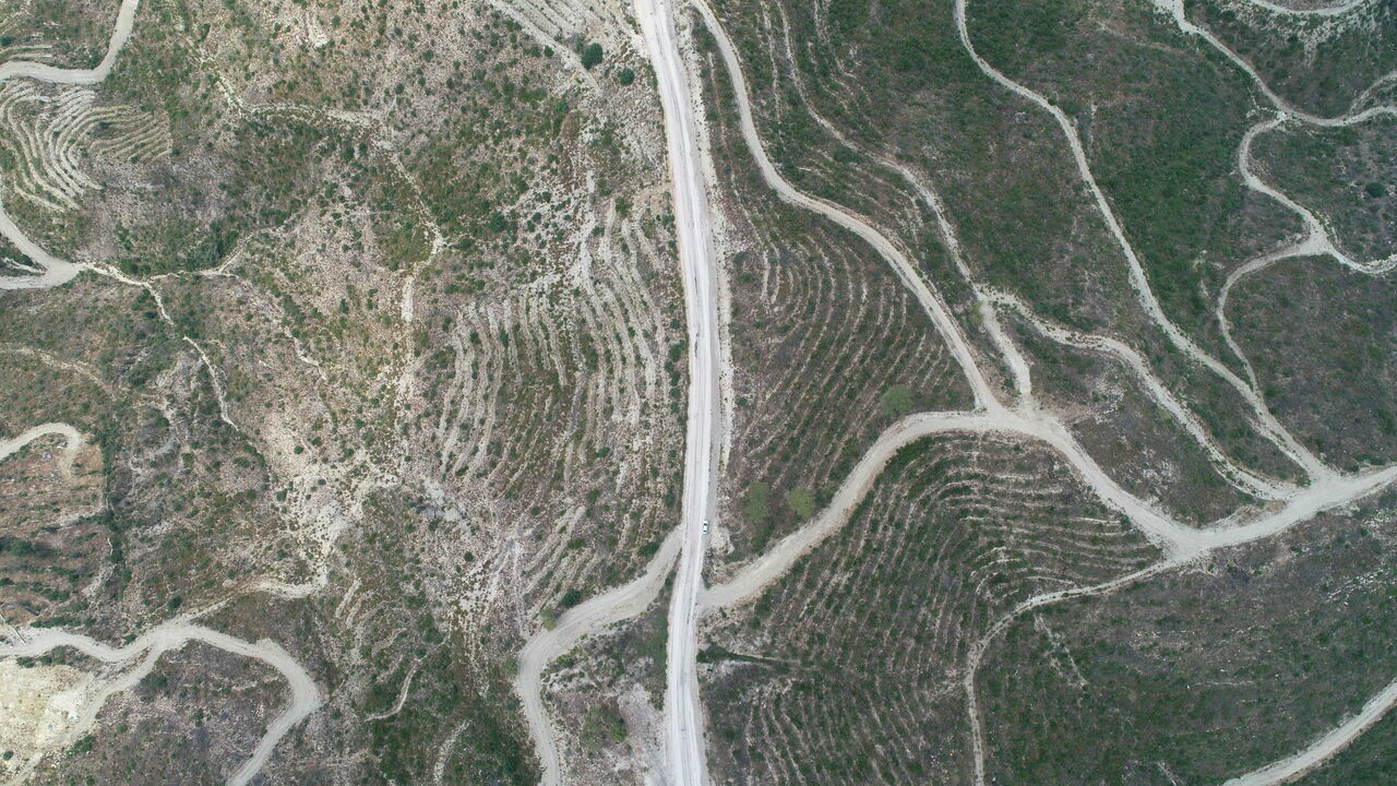 Manavgat yangınının üçüncü yılında yanan ormanlar yeşermeye başladı 1