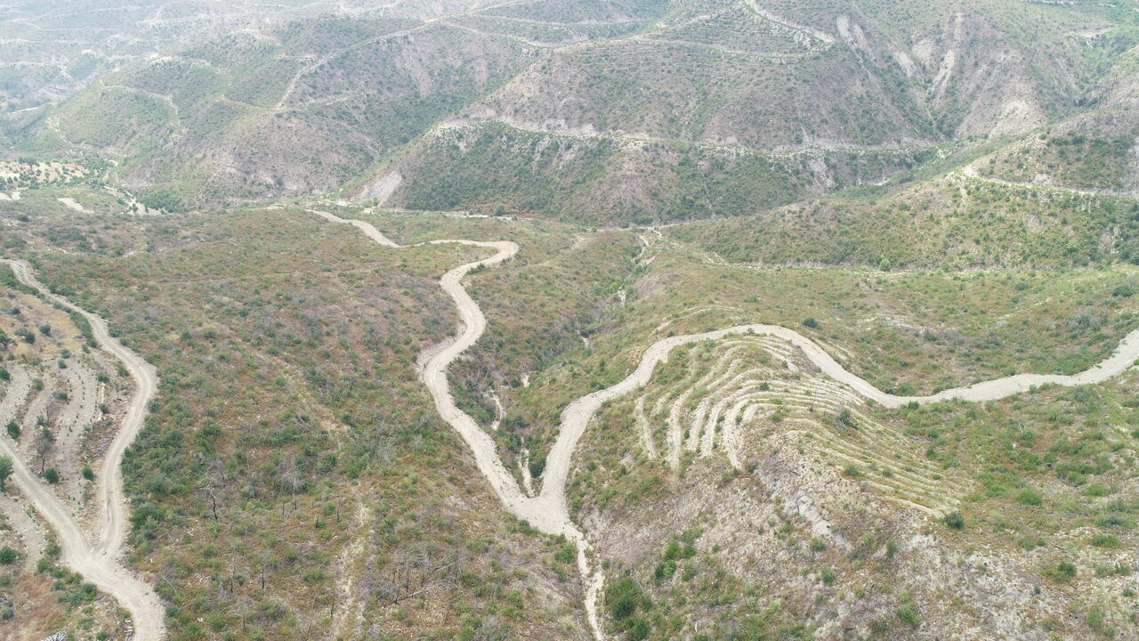 Manavgat yangınının üçüncü yılında yanan ormanlar yeşermeye başladı 7
