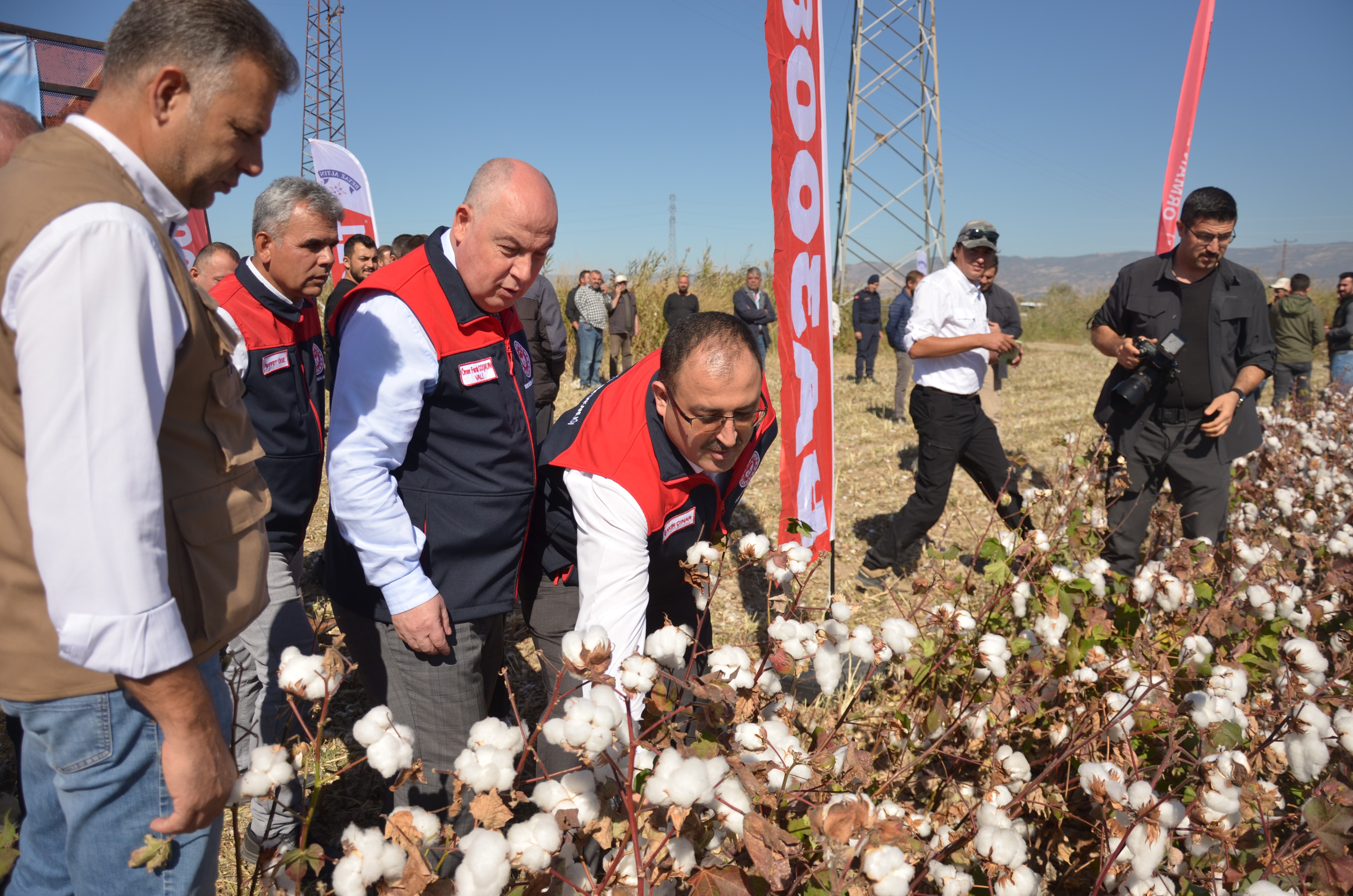 Denizli'de Beyaz Altın Hasadı Bereketiyle Başladı 5