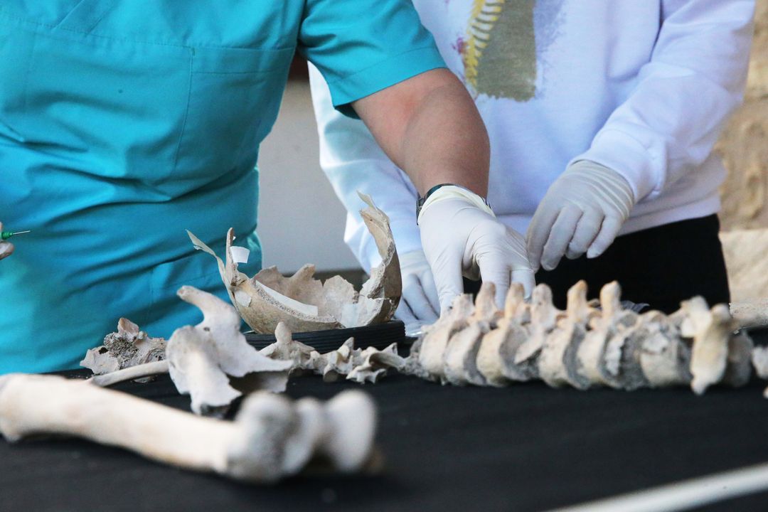 Kazılarda Bulunan İskeletlerden Antik Hastalıklar Bulunacak 18
