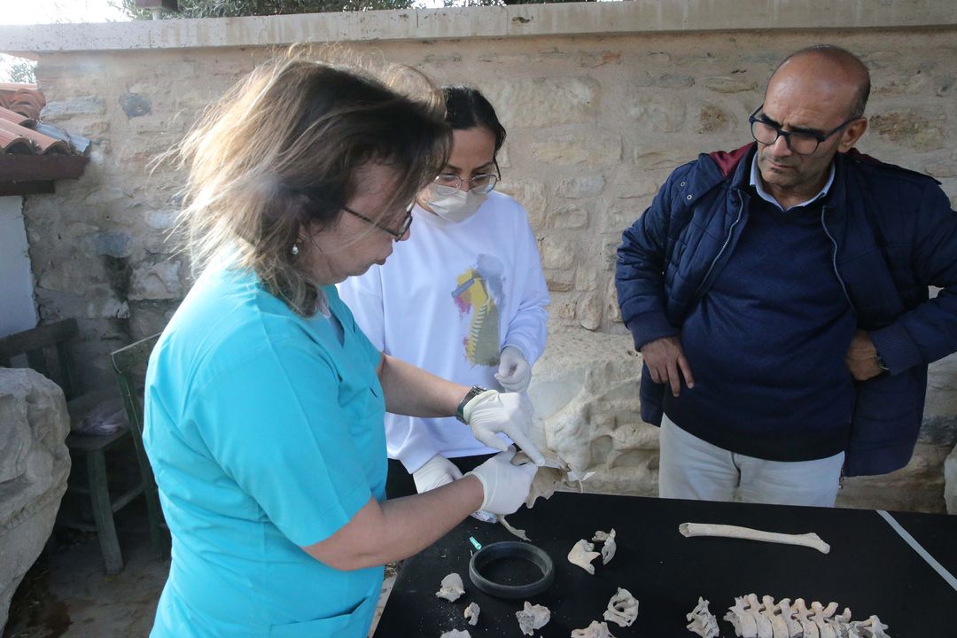 Kazılarda Bulunan İskeletlerden Antik Hastalıklar Bulunacak 6