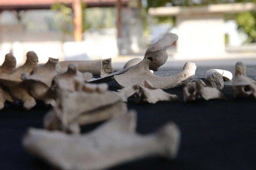 Kazılarda Bulunan İskeletlerden Antik Hastalıklar Bulunacak 17
