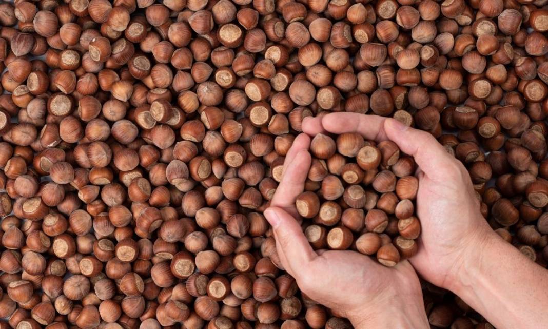 Fındık ve Leblebiye Zam! Tadım Grubu Fiyatları Güncellendi 3