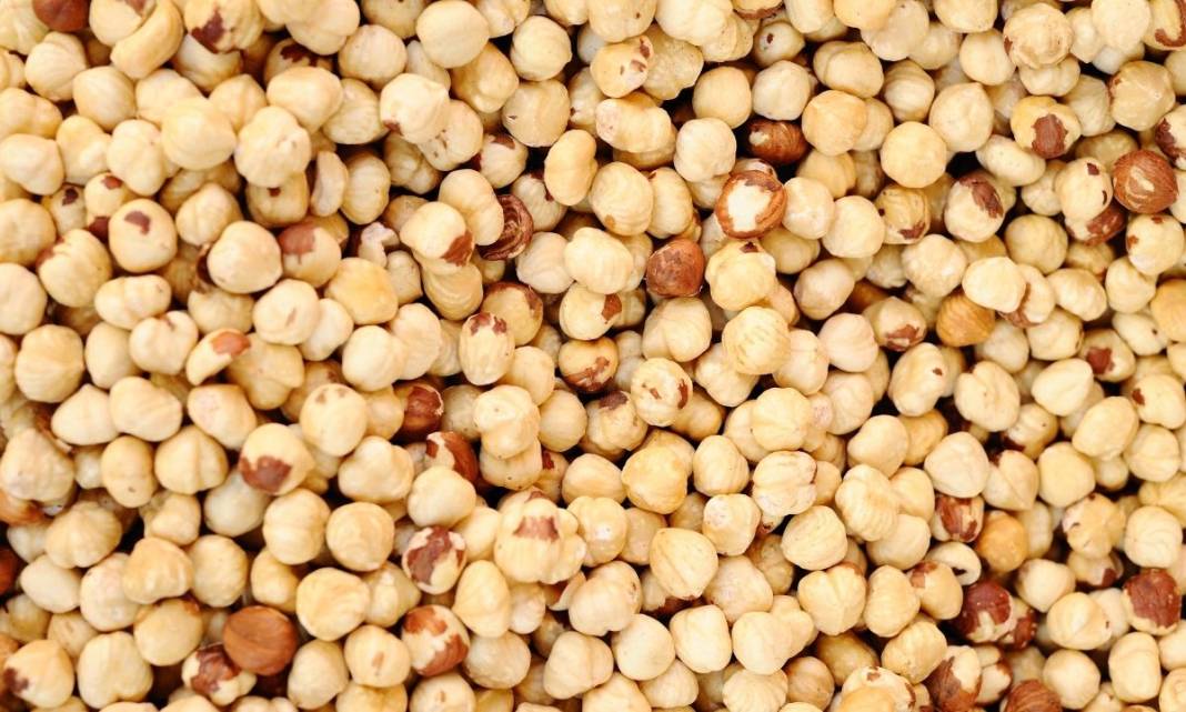 Fındık ve Leblebiye Zam! Tadım Grubu Fiyatları Güncellendi 2