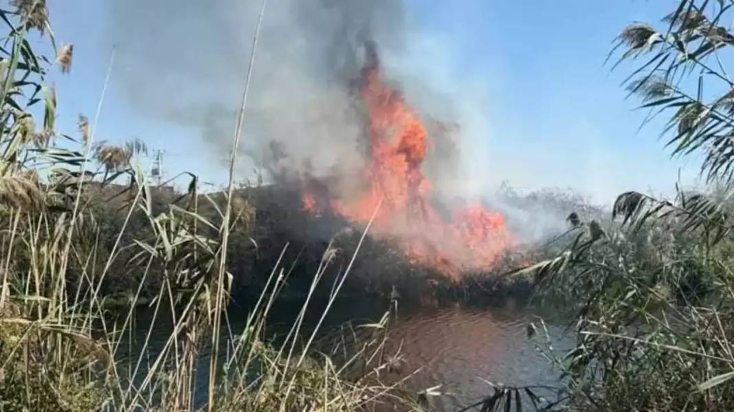 Antalya’da Düden Çayı Kıyısında Korkutan Yangın! Halk Kano ile Müdahale Etti 8