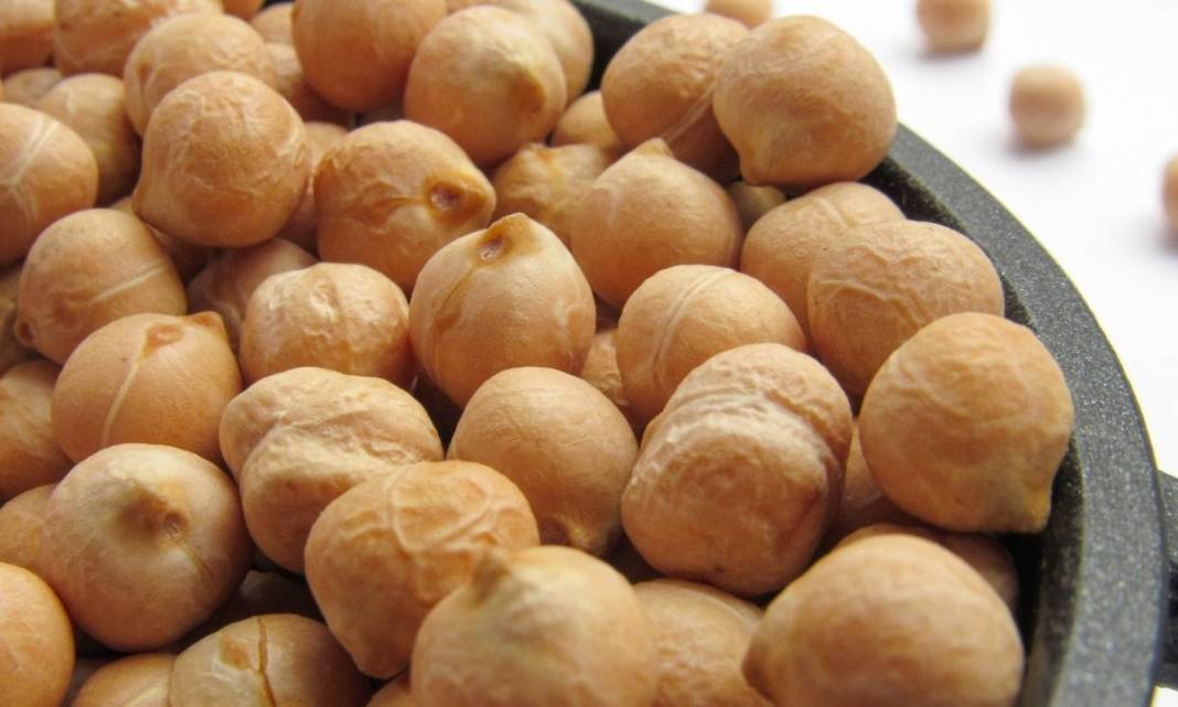 Fındık ve Leblebiye Zam! Tadım Grubu Fiyatları Güncellendi 8