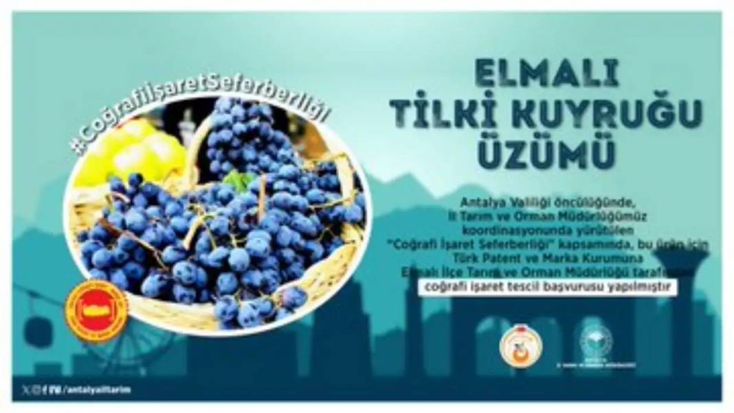 Antalya’da Coğrafi İşaret Seferberliği 6