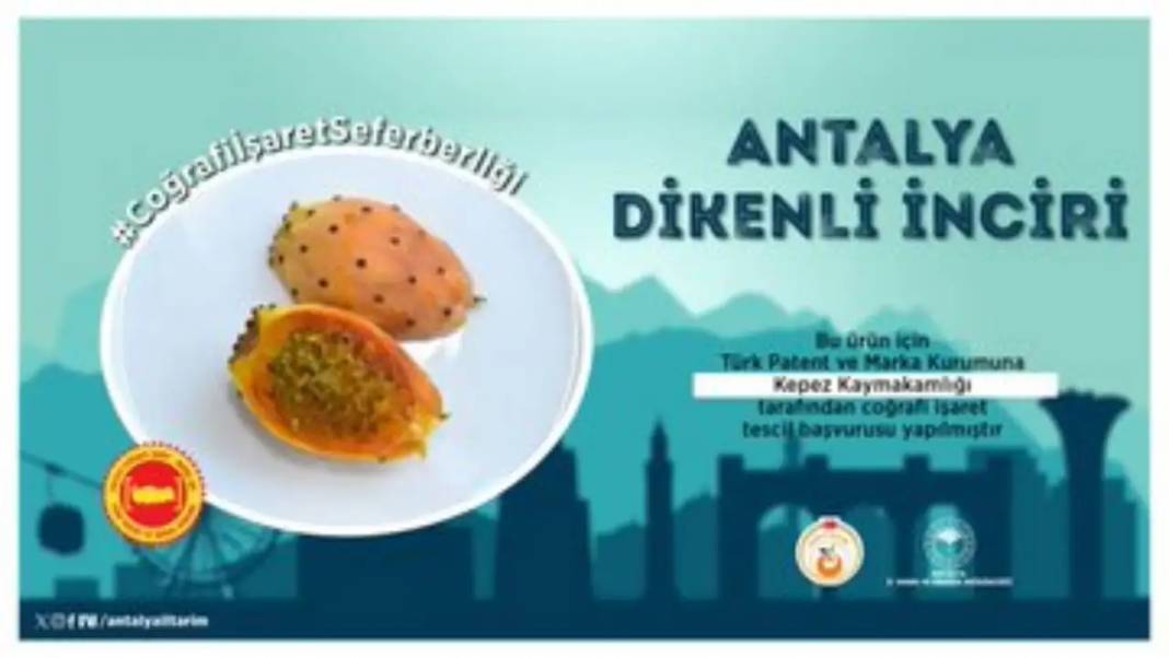 Antalya’da Coğrafi İşaret Seferberliği 16