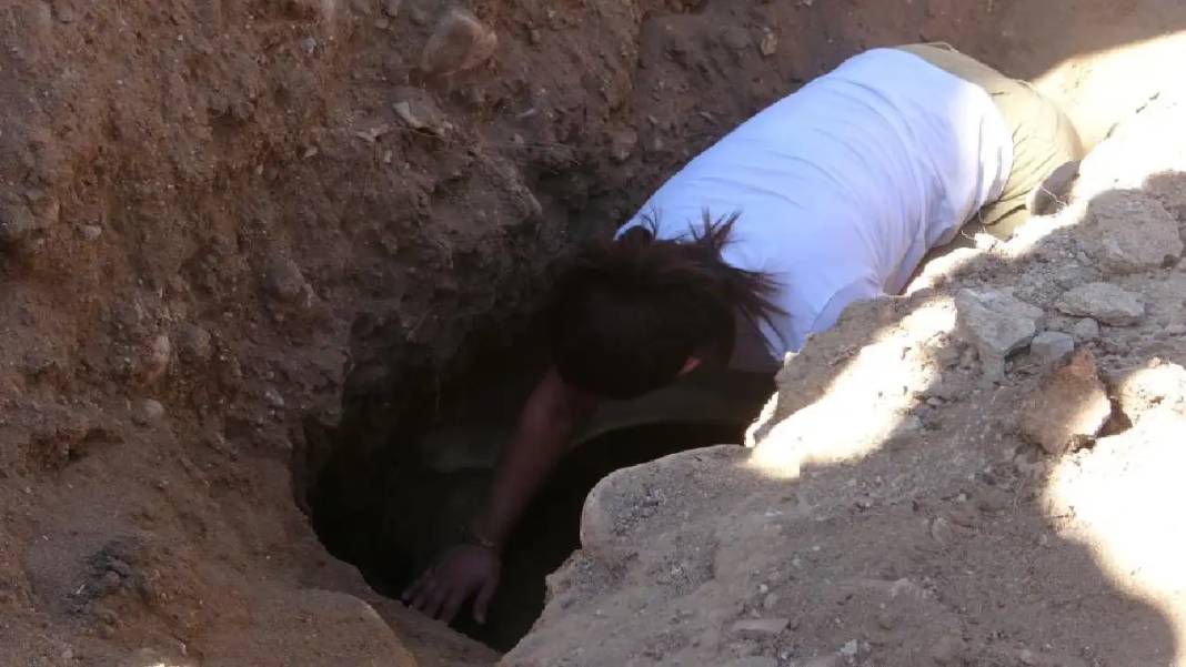 Mersin’de 16 Metrelik Dev Balina Toprak Altından Çıkarılıyor 6