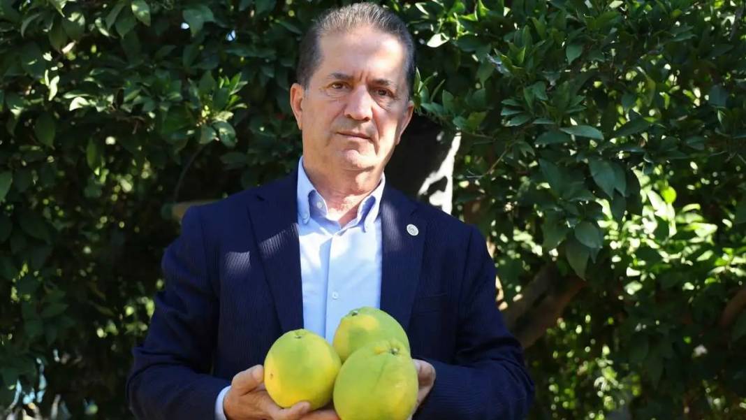 Adana’da Buruk Portakal Hasadı: Don Yaktı, Sıcak Kavurdu! 7