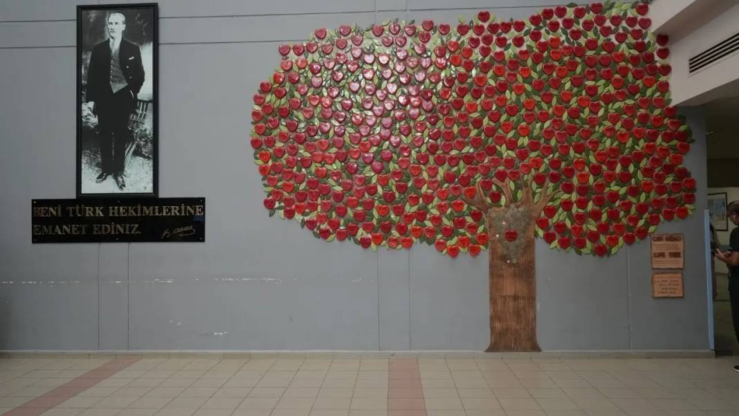 Antalya’da Yapılan Çift Organ Nakliyle 48 Yıldır Hayatta! 4