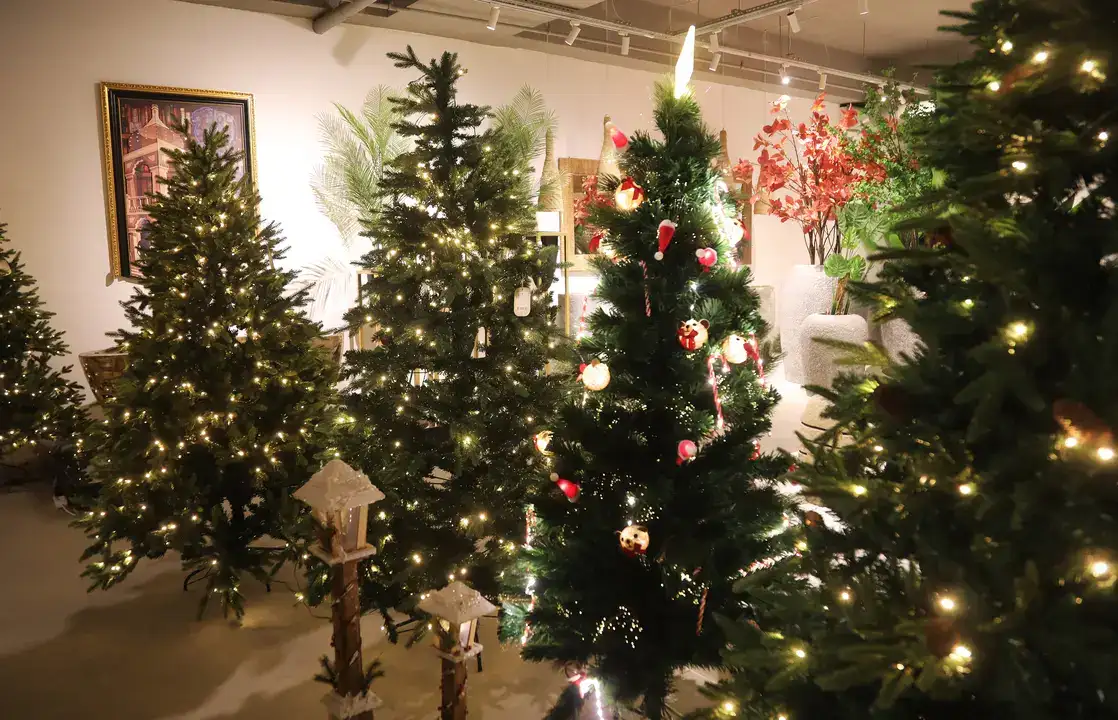 Antalya’da Yılbaşı Ağacı Fiyatları 70 Bin TL'ye Kadar Çıkıyor 5