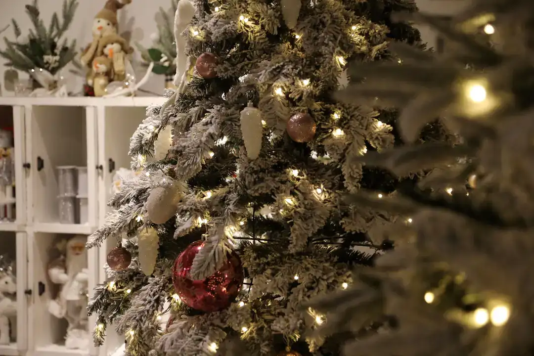 Antalya’da Yılbaşı Ağacı Fiyatları 70 Bin TL'ye Kadar Çıkıyor 6