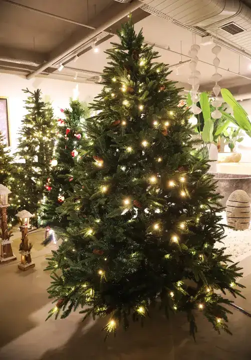 Antalya’da Yılbaşı Ağacı Fiyatları 70 Bin TL'ye Kadar Çıkıyor 9