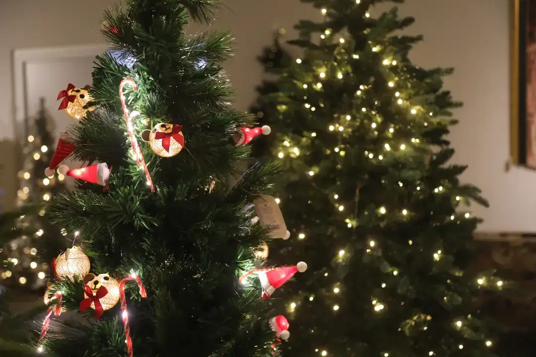 Antalya’da Yılbaşı Ağacı Fiyatları 70 Bin TL'ye Kadar Çıkıyor 7