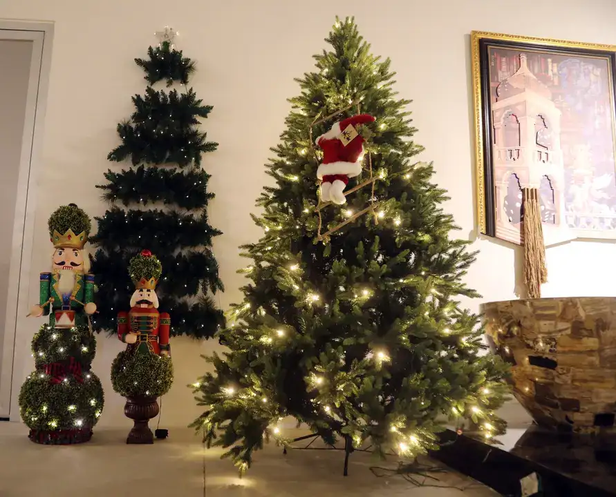 Antalya’da Yılbaşı Ağacı Fiyatları 70 Bin TL'ye Kadar Çıkıyor 3