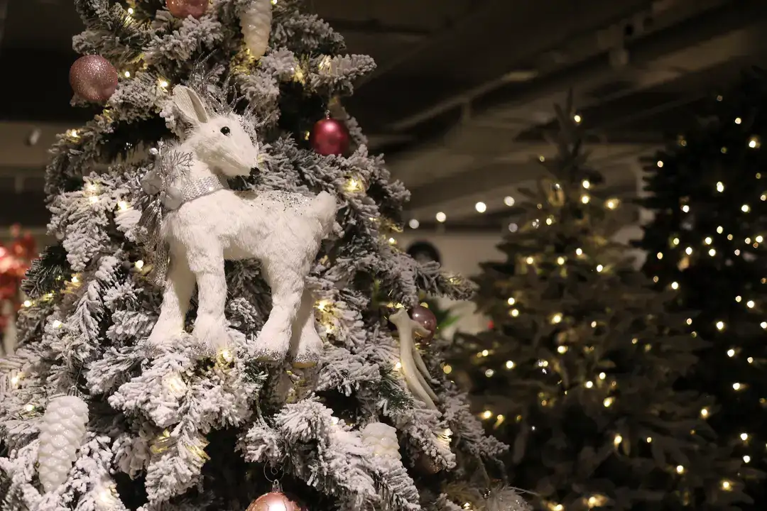 Antalya’da Yılbaşı Ağacı Fiyatları 70 Bin TL'ye Kadar Çıkıyor 2