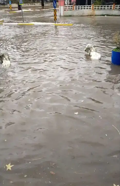 Antalya'nın Gündüzü Geceye Döndü: Sağanak Etkili Oldu 15