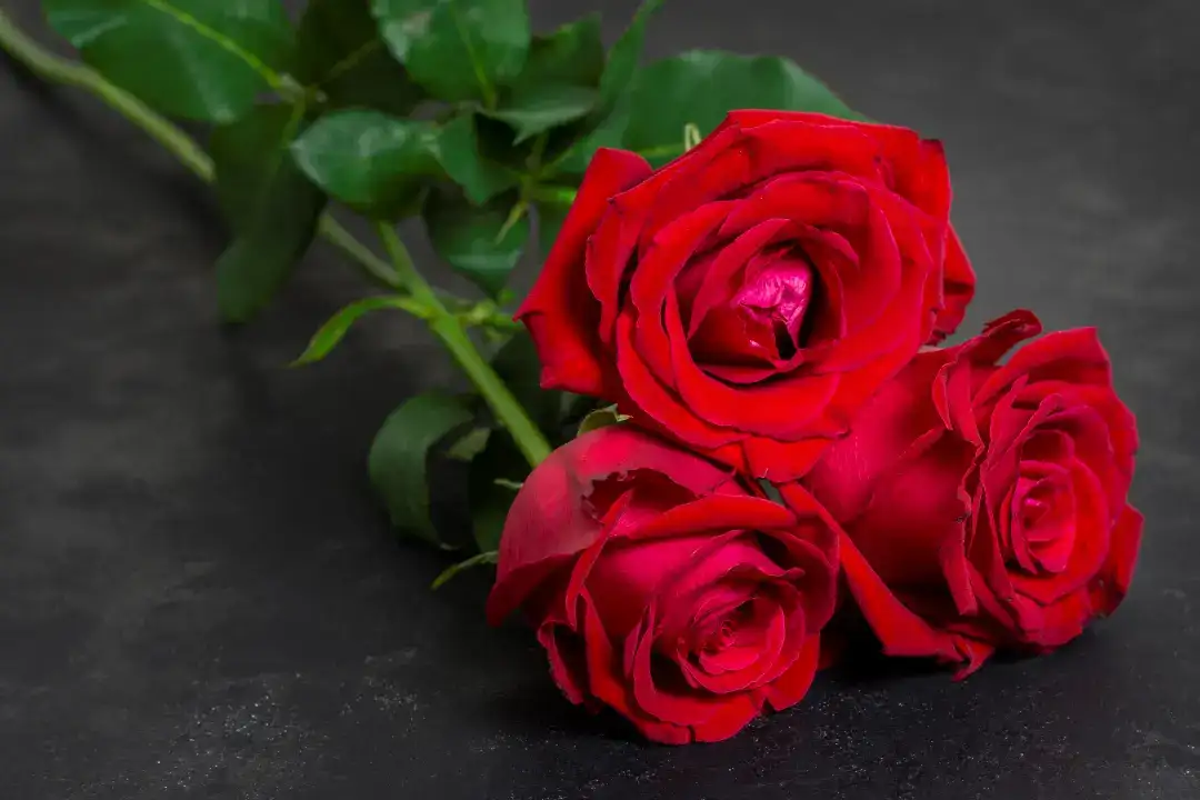 Sevgililer Günü’nde Doğru Çiçeği Seçmek Neden Önemli? 1