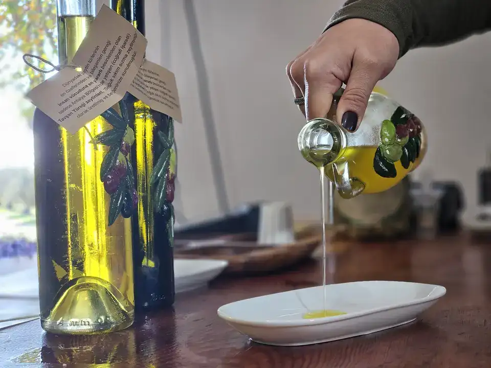 Tavşan Yüreği Zeytinyağı Kemoterapi Kadar Etkili Çıktı 5