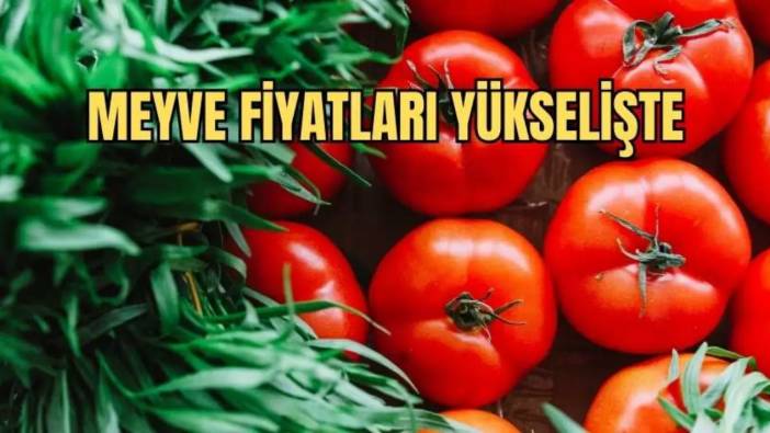 Antalya’da Hal Endeksi Açıklandı: Domates Miktarı Rekor Düşüş Gösterdi!