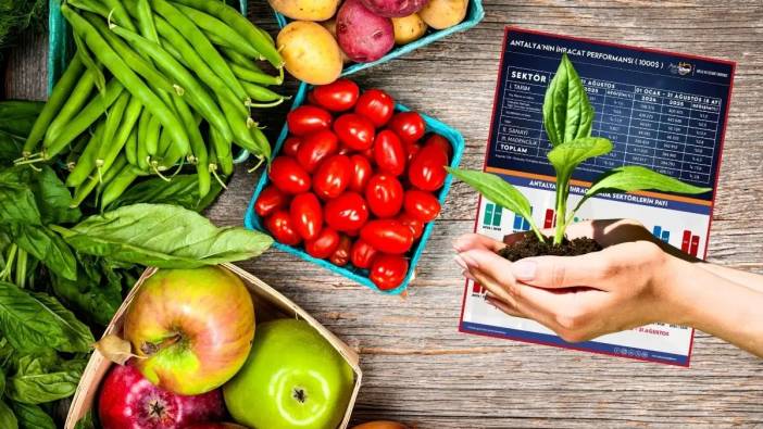 Antalya’nın Tarım İhracatında Bu Ürünler Yüz Güldürdü