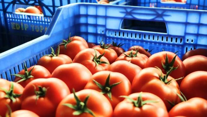 Ukrayna’nın Anti-Damping Kararı Antalya’yı Vurdu: 57 Milyon Dolarlık İhracat Tehlikede