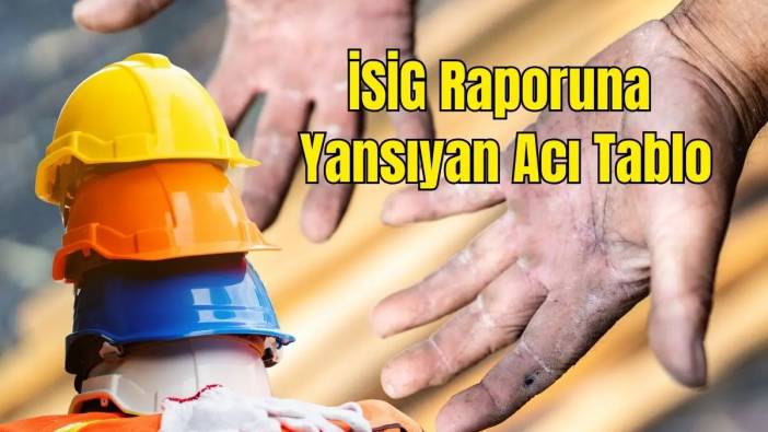 Stajda, Tarlada, Atölyede… Türkiye'de Çocuk İşçiler Ölüyor!