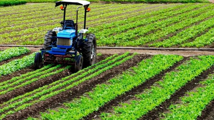 Çiftçilere Müjde: 476 Milyon TL Tarımsal Destek Dağıtıldı