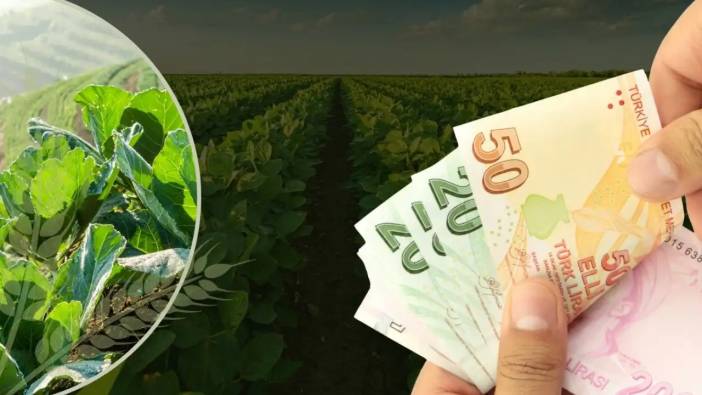 Tarım ve Gıda İçin Dev Hibe Anlaşması! Antalya'da Alacak mı?