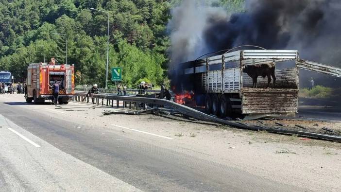 Adana’da Hayvan Yüklü TIR Alev Alev Yandı! Korku Dolu Anlar Kamerada