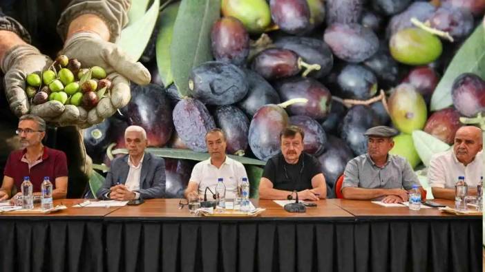 Zeytin Hasadı Antalya’da Masaya Yatırıldı: Antalya’da Rekolte Beklentisi Ne?