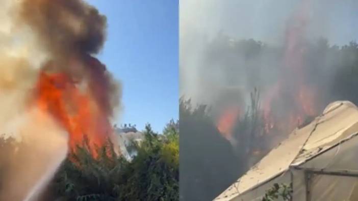 Alanya’da Korkutan Yangın! Seralara Sıçradı