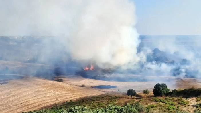 Zeytin Ağaçları Yandı! Alevler Villaları Tehdit Etti
