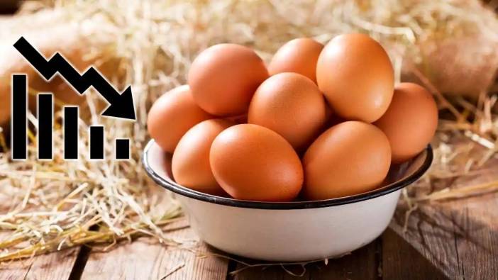 Temmuz’da Yumurta Üretimi Dibe Vurdu