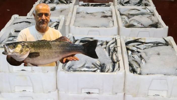 Akdeniz’de Av Sezonu Başladı: Antalya’da 1 Kilo Fiyatına 1 Kasa Balık