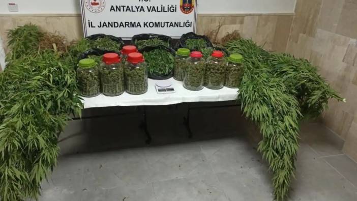 Antalya'da Jandarma Ekipleri Operasyonda Kilolarca Uyuşturucu Ele Geçirdi