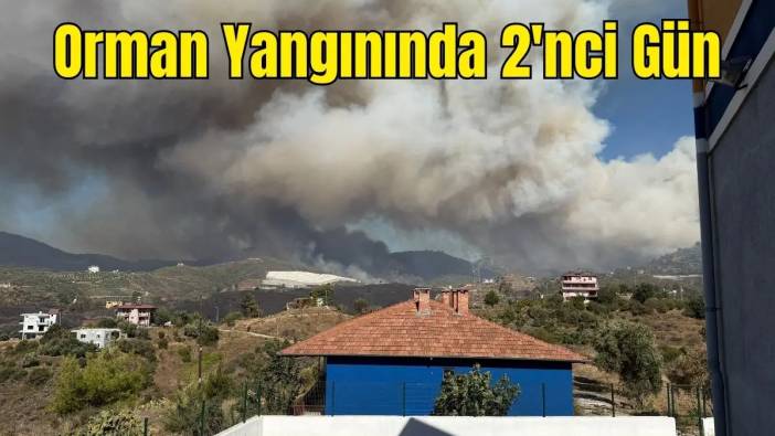 Alanya'da 5 Mahalle Yanıyor! Rüzgarla Büyüdü, Evler ve Seralar Tehlikede