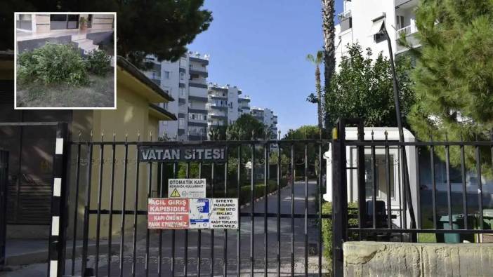 Antalya’da Vatan Sitesi’nde Ağaç Kavgası
