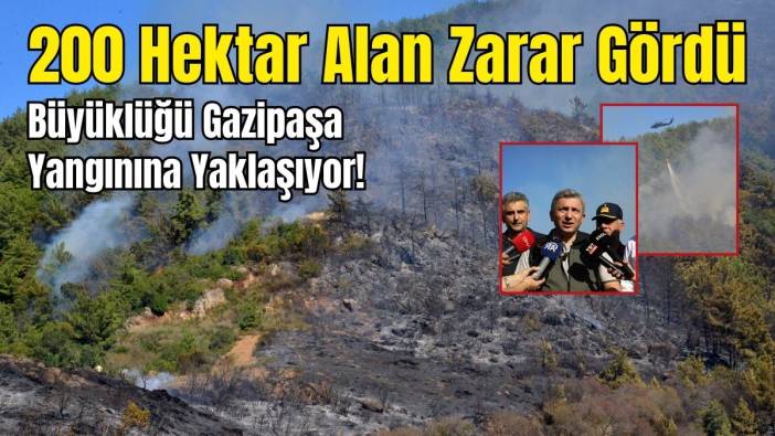 Antalya'da 24 Saatte 21 Yangın Çıktı! 200 Hektar Alan Zarar Gördü