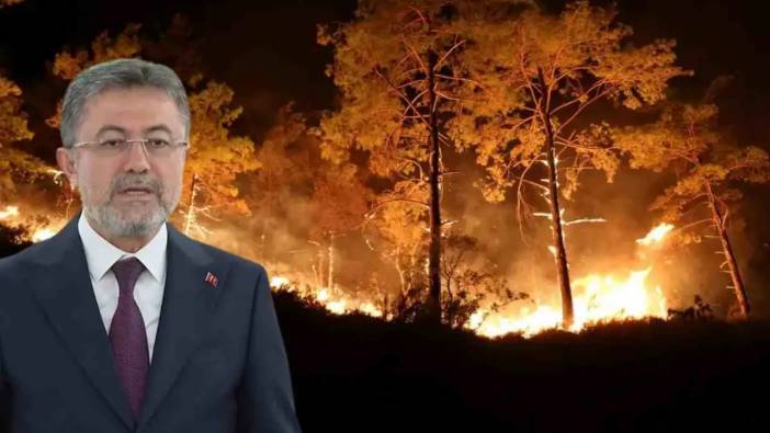 Antalya’da Aynı Gece 6 Yangın: Bakan Yumaklı Detayları Açıkladı