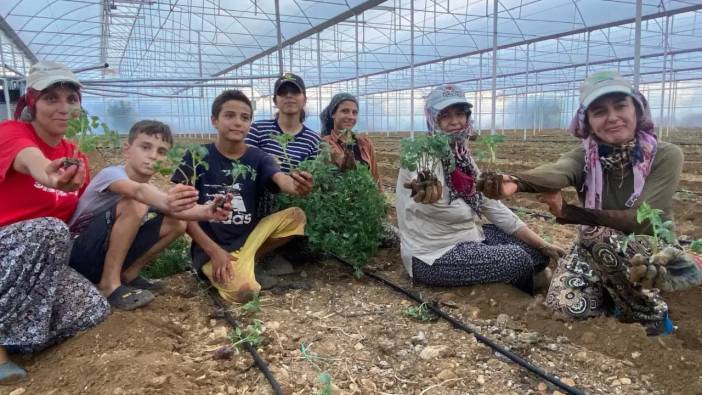 Antalya Aksu’da Fideler Toprakla Buluştu! Kadın Üreticiler Sezona Umutla Girdi