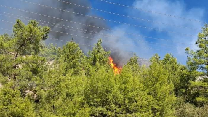 Serik'te Orman Yangını: Kısık Mevkiinde Alevler Yükseldi