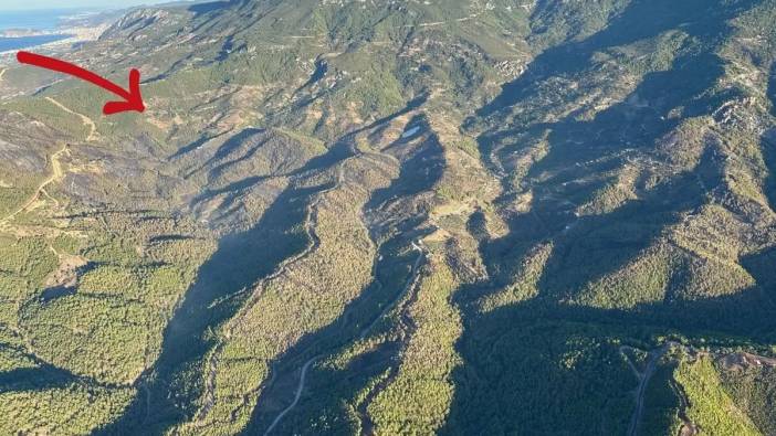 Alanya Ormanları Şerit Halinde Yanmış! Orman Bölge Görüntüleri Yayınladı