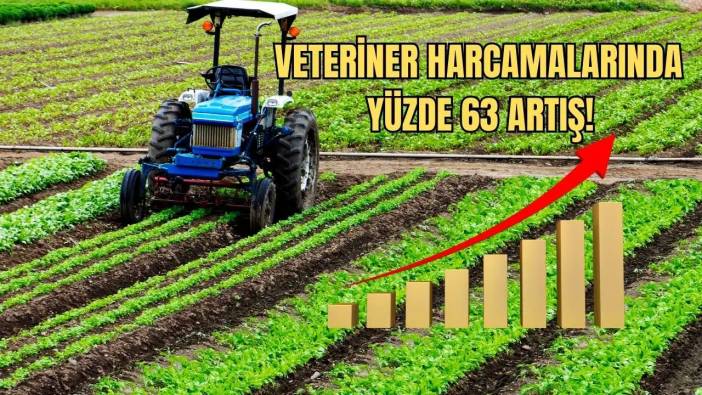 Çiftçi Maliyetleri Artış Trendini Sürdürüyor! Hayvancılık Girdilerinde Dikkat Çeken Artış