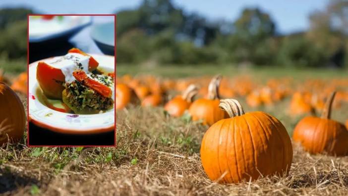 Antalya Balkabağı Dolması Tescil Yolunda! Coğrafi İşaret Alacak
