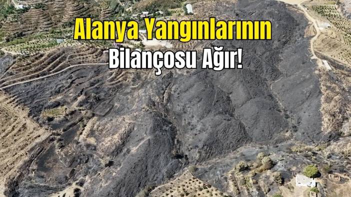 Alanya'da 1350 Hektar Orman Yandı: 1890 Futbol Sahası Büyüklüğünde!