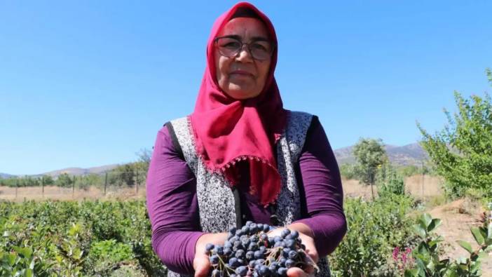 Burdur’da Kalbine İyi Gelen Meyvenin “Şifa” Bahçesini Yaptı!
