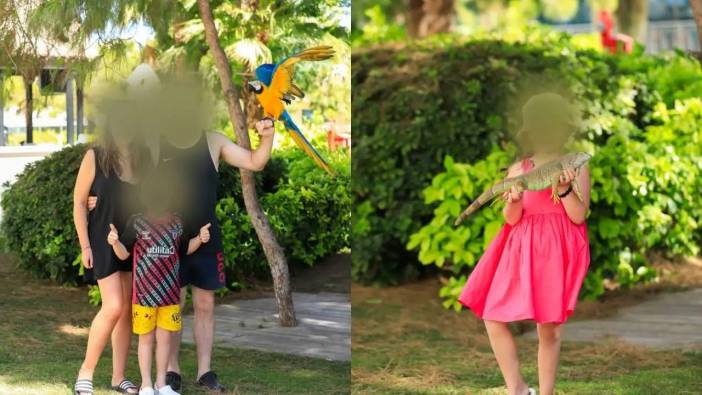 Antalya’da Papağanla Fotoğraf Çekimi Yasaklandı! Maliyeti Dudak Uçuklattı